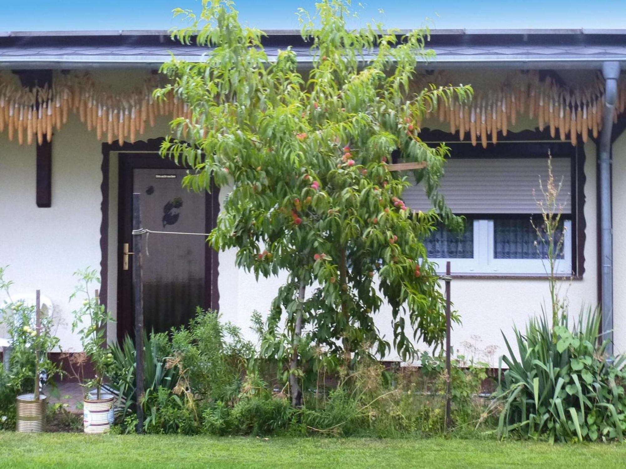 Bungalow In L Bben With A Terrace Lübben エクステリア 写真